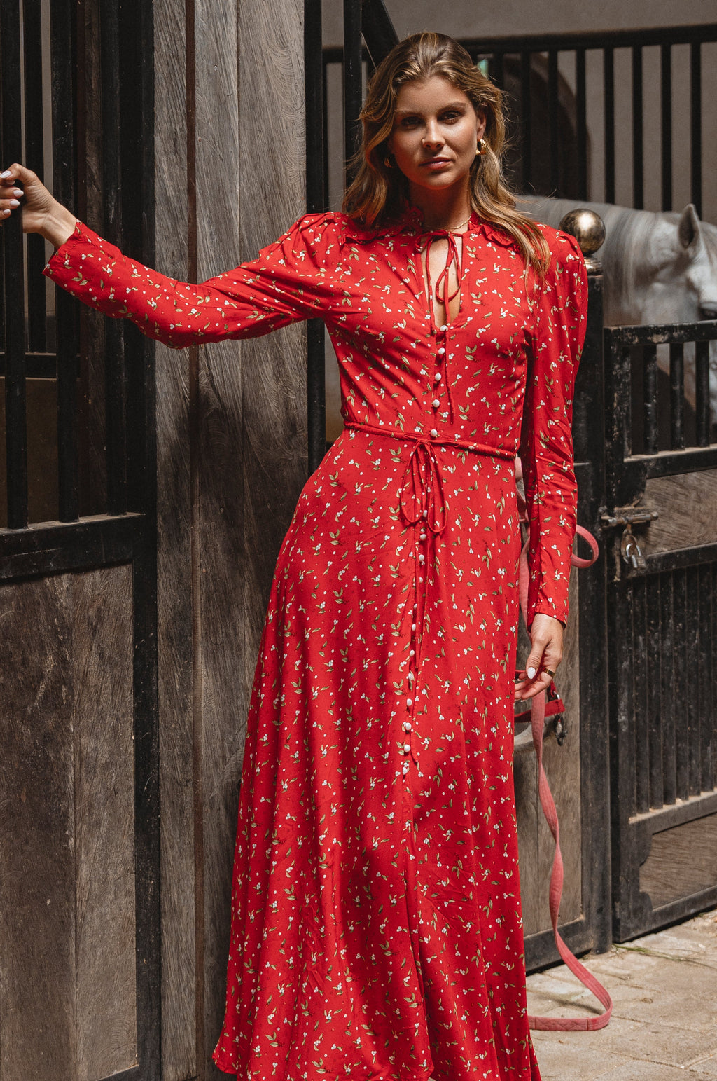 Poeme Long Sleeve Maxi Dress